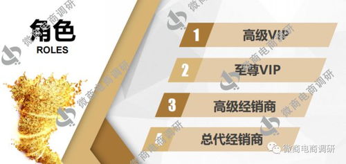 唐淑玉丹消毒產(chǎn)品虛假宣傳及四級(jí)代理模式解析